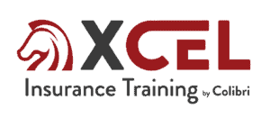 XCEL logo